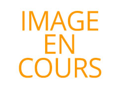 Détails : Photovoltaik Investment