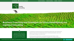 Détails : Cambio Consulting