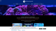 Korallen online kaufen im Shop für dein gesundes Riffbecken
